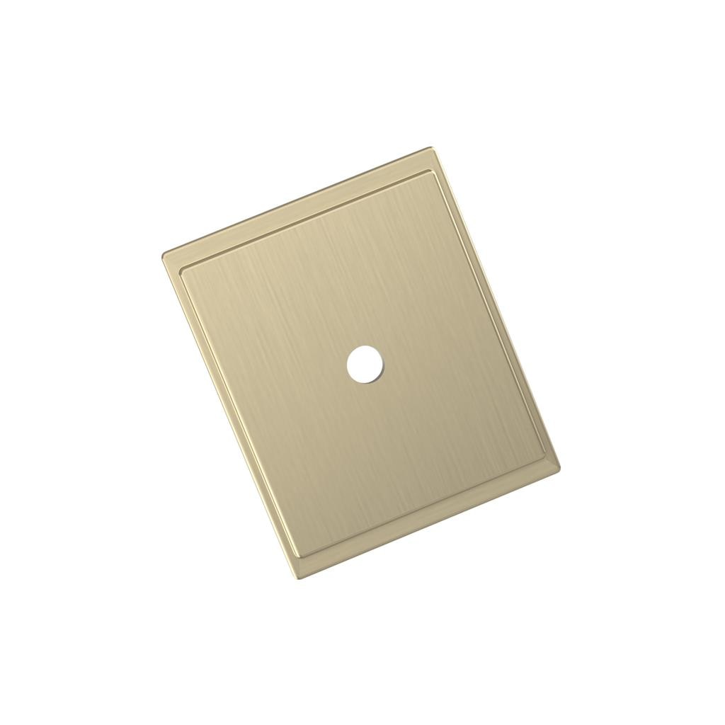 Maymont Backplate