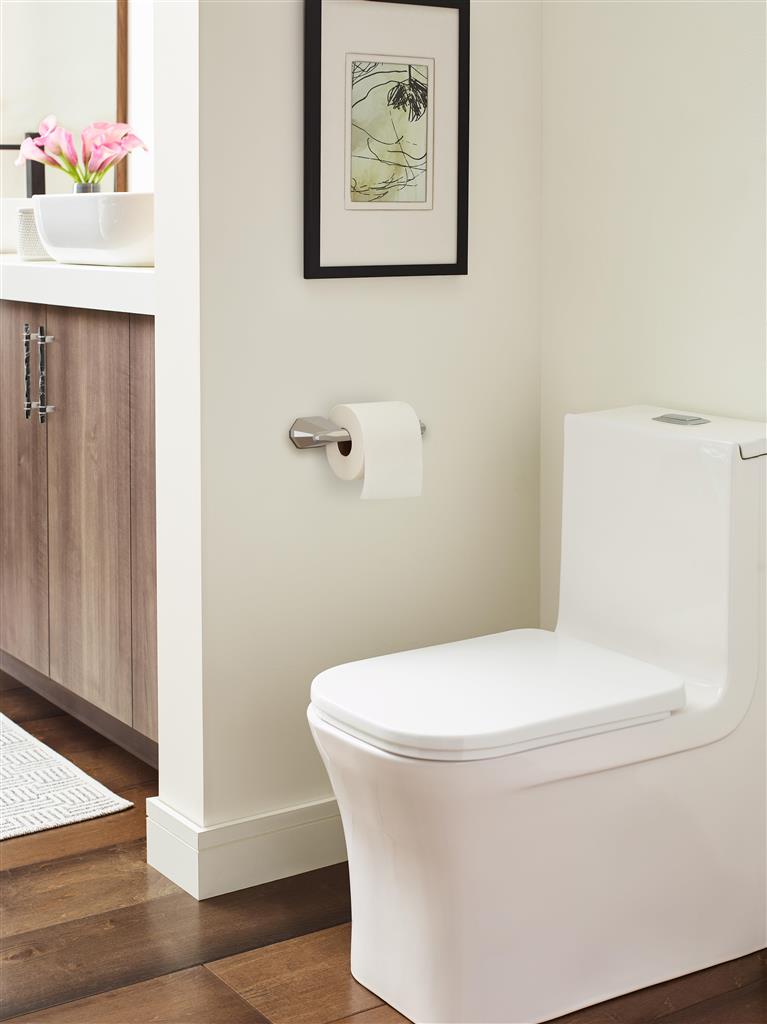 Carrione™ Cabinet Pull