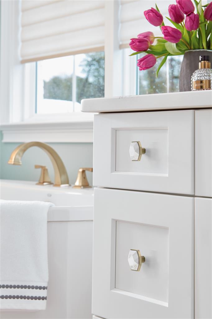 Carrione™ Rectangle Knob