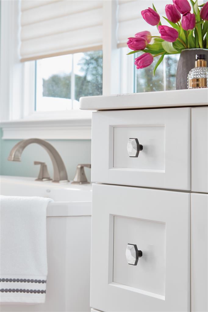 Carrione™ Rectangle Knob