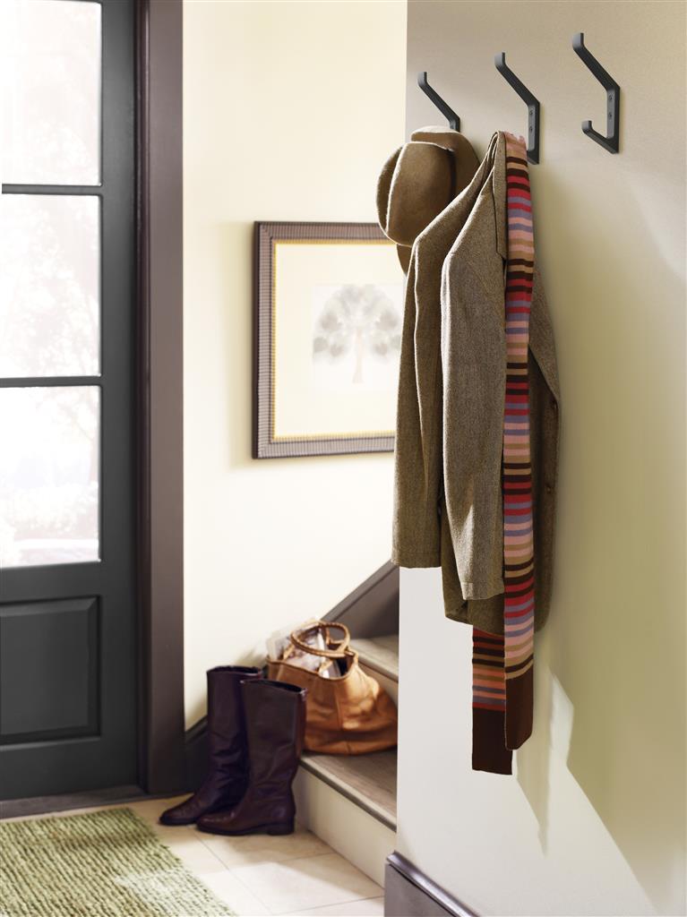 Emerge Decorative Wall Hook