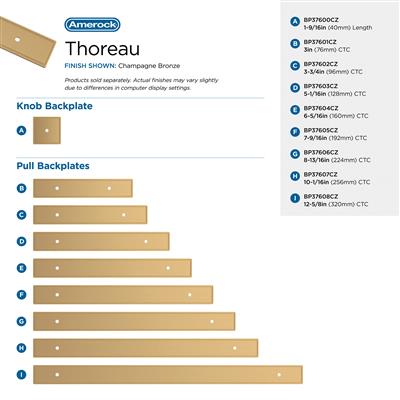 Thoreau Backplate