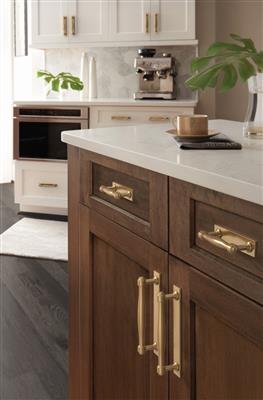 Ladera Cabinet Pull Backplate