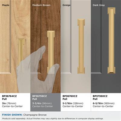Appoint Cabinet Pull