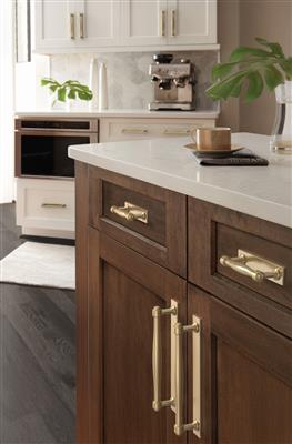 Ladera Cabinet Pull Backplate