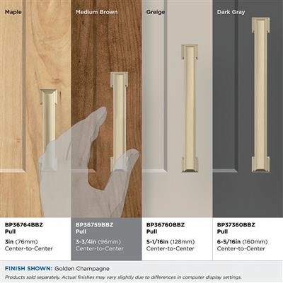 Appoint Cabinet Pull