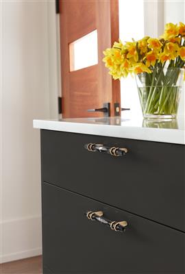 Carrione™ Cabinet Pull