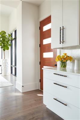 Carrione™ Cabinet Pull