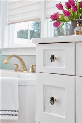 Carrione™ Rectangle Knob