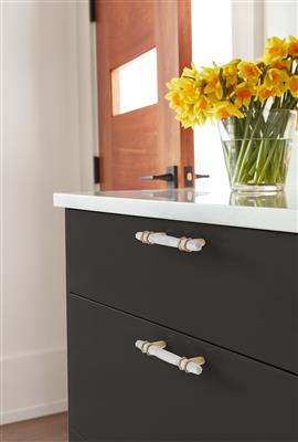 Carrione™ Cabinet Pull