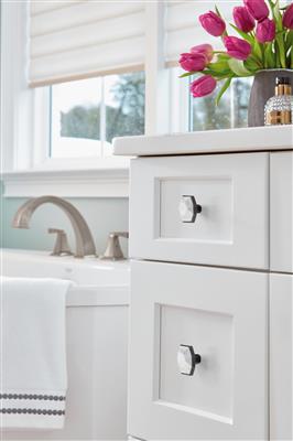 Carrione™ Rectangle Knob