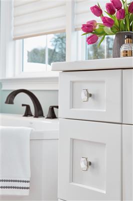 Carrione™ Rectangle Knob