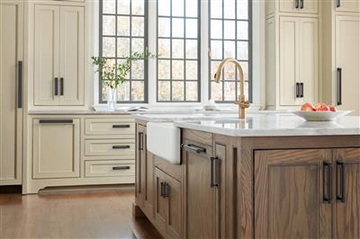 Medora Appliance Pull Backplate