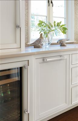 Appoint Appliance Pull