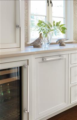 Appoint Appliance Pull