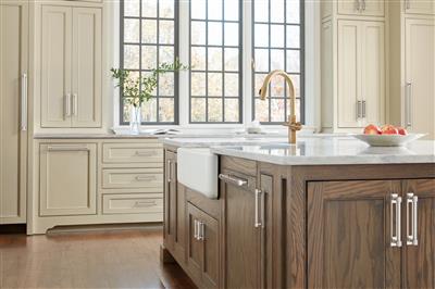 Medora Appliance Pull Backplate